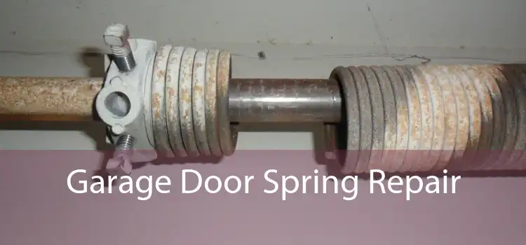 Garage Door Spring Repair 